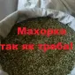 Махорка 490 грн - фото № 1