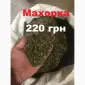 Махорка крепка і пахуча - фото № 1