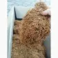 Продам ароматний тютюн - фото № 1