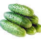 Купим огурец - фото № 1