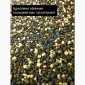 Якісний бджолиний пилок - фото № 1