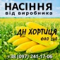 Насіння кукурудзи ДН Хортиця ФАО 240 от производителя Agro_Exprt - фото № 1