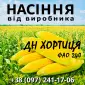 Насіння кукурудзи ДН Хортиця ФАО 240 від виробника Agro_Exprt - фото № 1