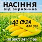 Насіння кукурудзи ДС Сула ФАО 310 от производителя Agro_Exprt - фото № 1