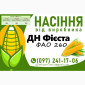 Насіння кукурудзи 2025 – гібрид ДН Фієста (ФАО 260) от производителя - фото № 1