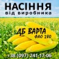 Насіння кукурудзи ДБ Варта ФАО 280 от производителя Agro_Exprt - фото № 1