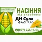 Насіння кукурудзи ДН Сула (ФАО 310) на 2025 рік від виробника - фото № 1