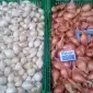 Продам цибуля кущівку - фото № 1