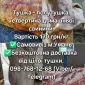 Тушка, свинини, баранини, ягнятини, курятини - фото № 1