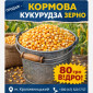 Продажа кукурудзи кормова - фото № 1