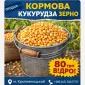 Продажа кукурудзи кормова - фото № 1
