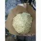 Пропонується заморожене яблуко кубиками зеленого кольору - фото № 1