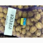 Насіння картоплі сорту Рів'єра у продажу - фото № 2