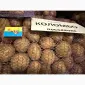 Насіння картоплі сорту Коломбо - фото № 1