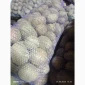 Продажа качественной товарной картошки - фото № 2