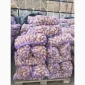 Продажа картофеля оптом по 6 грн за кг - фото № 1