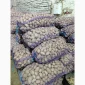 Продается семенной картофель сортов Гранада, Лабелла, Раномі II и III репродукции - фото № 4
