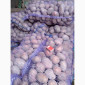 Продается товарная картошка сорта Белла Россата и Конект - фото № 1