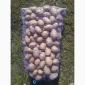 Пропоную посадкову картоплю різних сортів - фото № 6