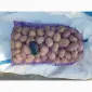 ФГ реализует посадочный картофель 2-3 репродукции - фото № 3