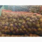 Продам насіннєву ранню картоплю сортів Рівʼєра Арізона - фото № 6