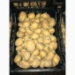 Продам семенной картофель 2 репродукция ривьера - фото № 1