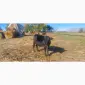 Продам стадо молодих корів - фото № 3