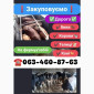 Купуємо биків та корів - фото № 1