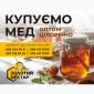 Закупаем мед Резнотравья - цена от 75 грн - фото № 1