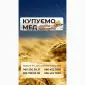 Покупаем мед Разнотравье-2025 - фото № 1