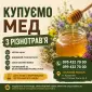 Купаем мед Разнотравье 2026 - фото № 1