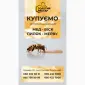 Купуємо мед від 500кг Сумська - фото № 1