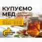 Закуповуємо мед швидко - фото № 1