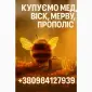 Купуємо мед - фото № 1