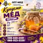 Закупка меда по Кировоградской области. Выезд наш - фото № 1