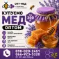 Купаем мед подсолнечный. Честный вес! ОПТ-МЕД - фото № 1