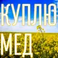 КУПЛЮ МЕД в Миколаївській області - фото № 1