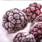 Продам замороженную культивированную ежевику (шоковая заморозка) - фото № 1