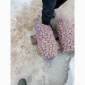 Продажа посадочного картофеля сортов Гранада, Белороса, Королева Анна, Саншайн - фото № 2