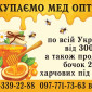 Купуємо мед оптом в с. Ожидів, Львівська область - фото № 1