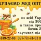 Закупаем мед оптом по Львовской области - фото № 1