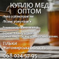 Мед закупаем оптом - фото № 1