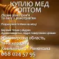 Мед оптом - фото № 1