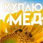 КУПЛЮ МЕД в Кіровоградській області - фото № 1