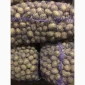 Продажа картофеля сорта Ривьера и Аризона - фото № 2