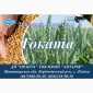 Насіння ярої пшениці Токата на продаж - фото № 1