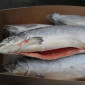 Лосось патраний тушка 1- 2, 4-5 - фото № 1
