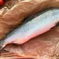 Горбуша свіжоморожена риба без голови потрошена - фото № 1
