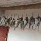Вяляна Таранька Карась - фото № 1