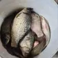 Продам рибу- в наявності карасі, карп з озера - фото № 1